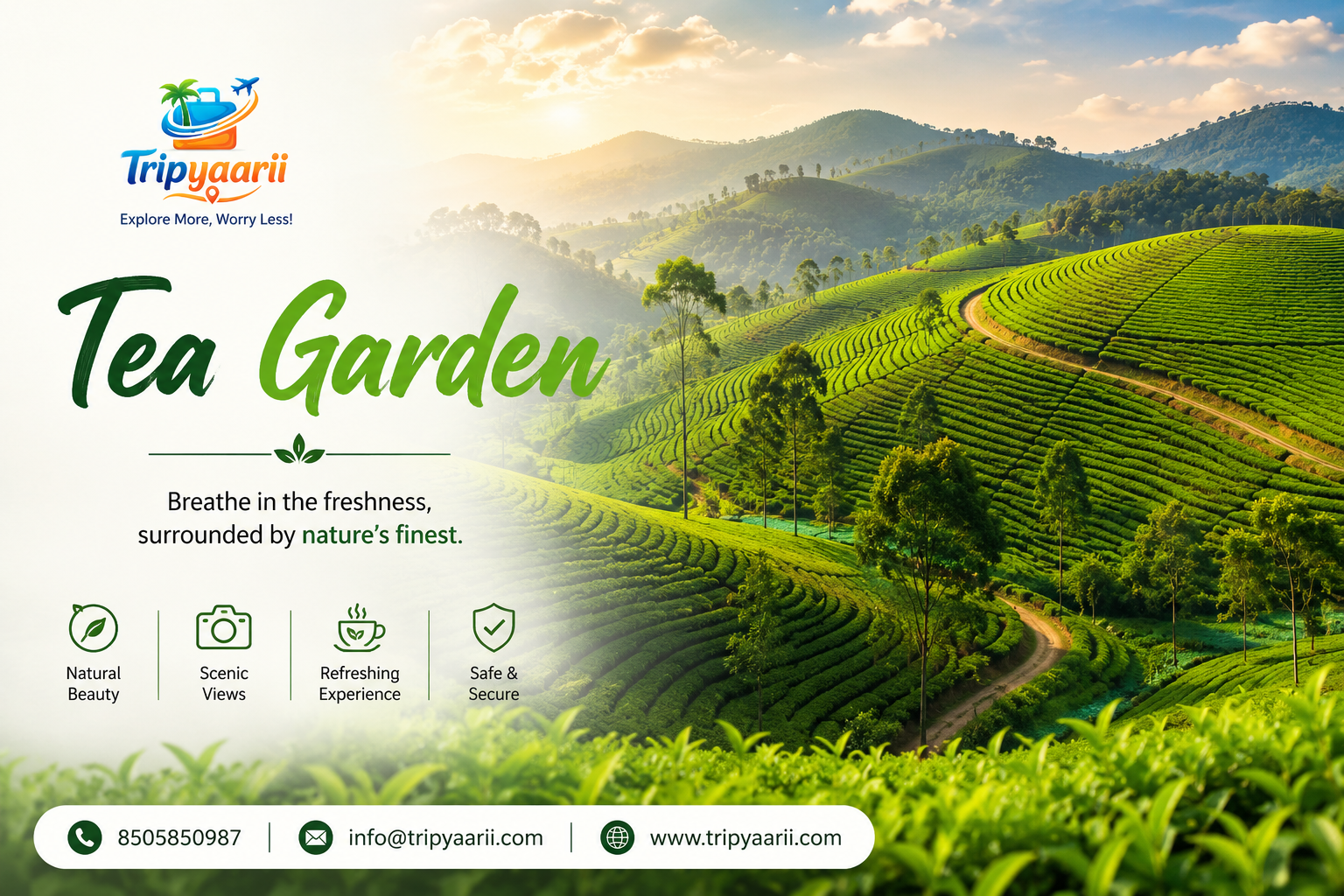 Tea Garden Munnar